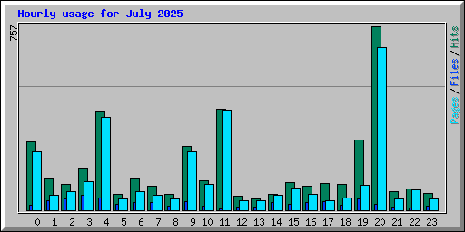 Hourly usage for July 2025