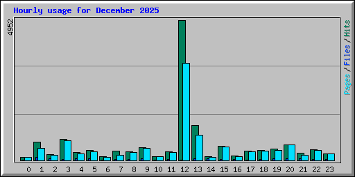 Hourly usage for December 2025