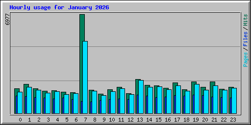 Hourly usage for January 2026